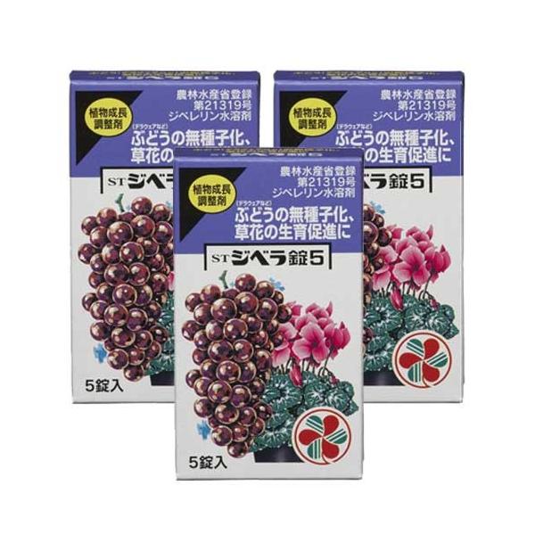 STWx5 5×3 KINCHO| A _