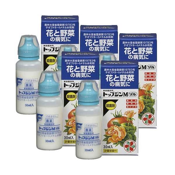 ƒ뉀|p gbvWM] 30ml×5{ KINCHO| Eۍ _