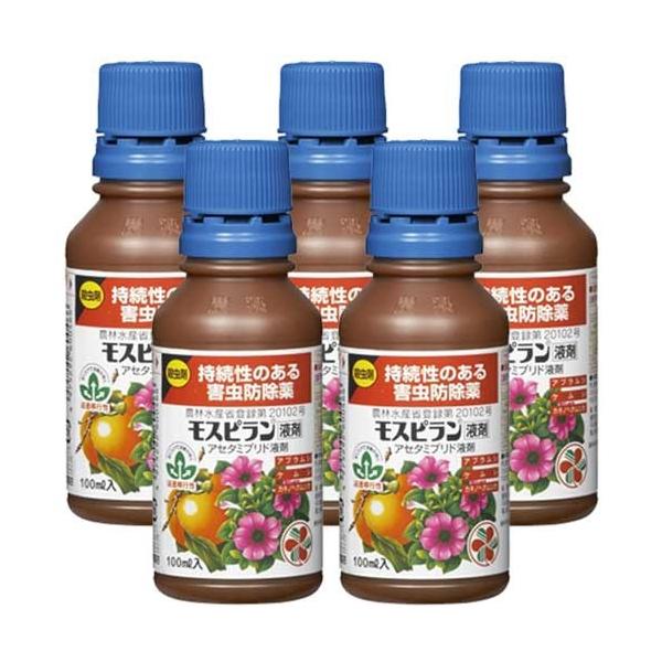 Xst ̂Qh 100ml×5{ KINCHO| E _