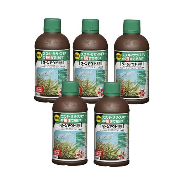  ^[AEgt 300ml×5{ KINCHO| _