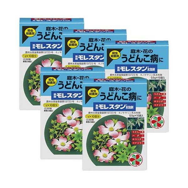 X^a 0.5g×10 ×5 KINCHO| EEۍ _