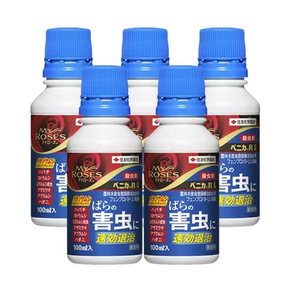 xjJR ΂Qގ 100ml×5{ KINCHO| E _