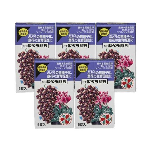 STWx5 5×5 KINCHO| A _