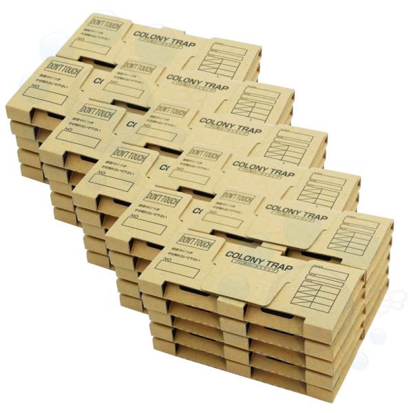 SLu΍ Rj[gbv 10×5 SLup gbv