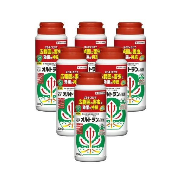 ƒ뉀|p GFIg 200g×6{ KINCHO| E _