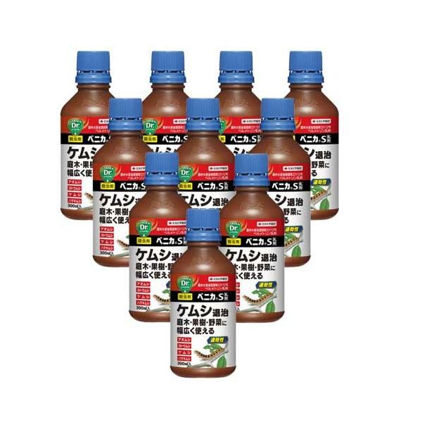 PVގ xjJS 300ml×10{ KINCHO| E _  ʎ 