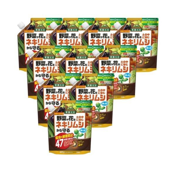 �l�L���x�C�g 600g×10�� KINCHO���| �E���� �_��