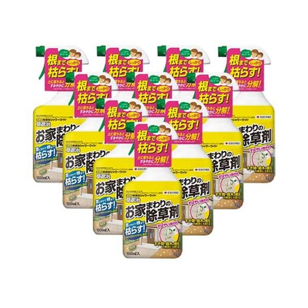  ގV[Ch 1000ml×10{ KINCHO| _