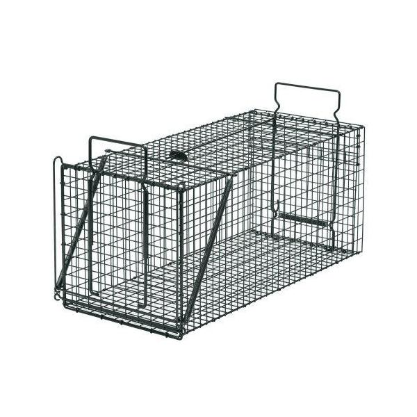 ߊl C^` IX D type No.203 IT-3 hqY p ߊl@