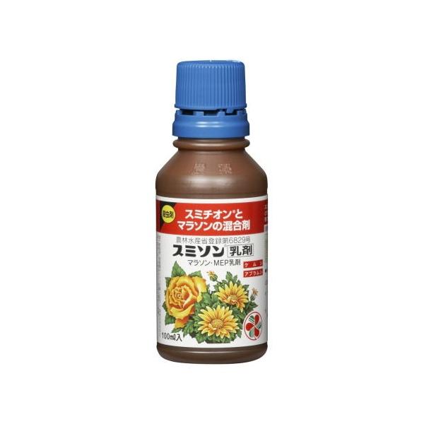 X~\ X~`Iƃ}\̍ 100ml KINCHO| E _