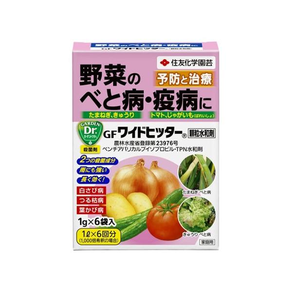 Eۍ _ GFChqb^[a (1g×6)   xƕa ua KINCHO|