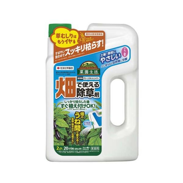  O[XLbgV[ 2L KINCHO| _