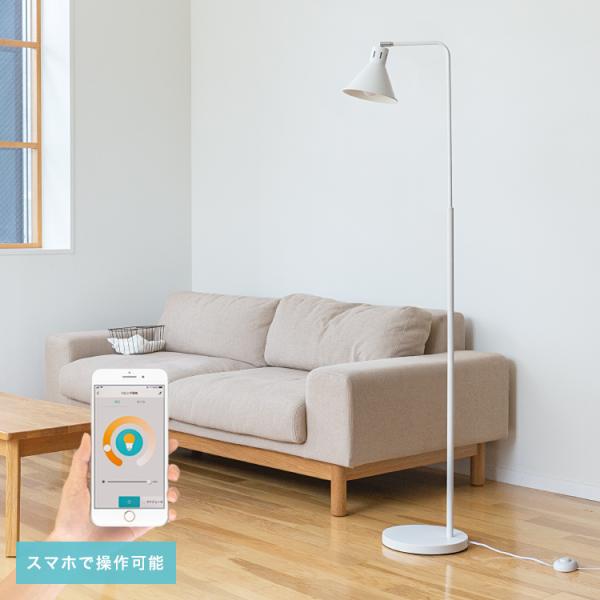 kaiteki-homes_bbf-046t kaiteki-homes_bbf-046t