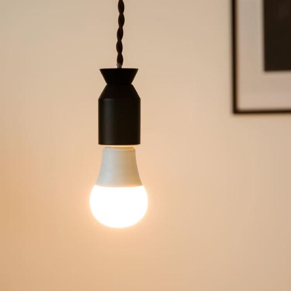 Led電球 E26 810lm 電球色 Led 電球 一般電球 口金電球 広配光 照明 照明器具 天井照明 間接照明 ライト 電気 リビング ダイニング 廊下 玄関 l 040 Buyee Servis Zakupok Tretim Licom Buyee Pokupajte Iz Yaponii