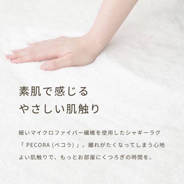 kaiteki-homes_pecora-l_1_d_20260402055033