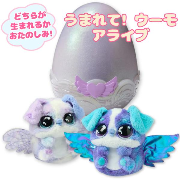 タカラトミー うまれて!ウーモ アライブ パッパディー ウーモアライブ たまご お世話 ぬいぐるみ 送料無料