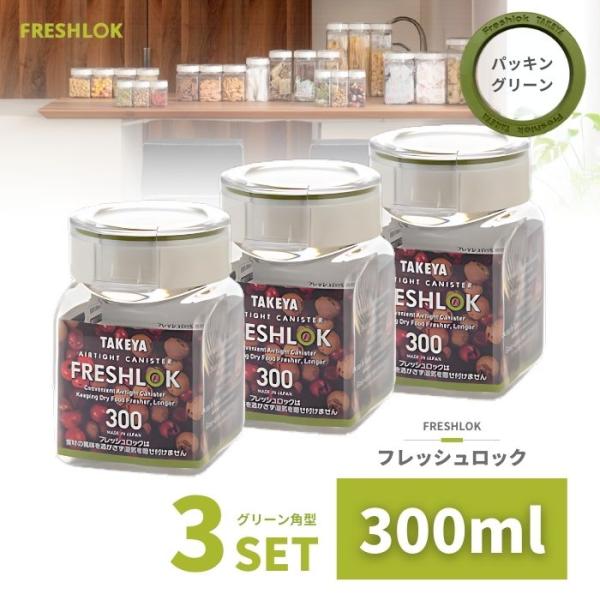 TAKEYA（タケヤ） 密閉 保存容器 フレッシュロック 角型 300ml 3個
