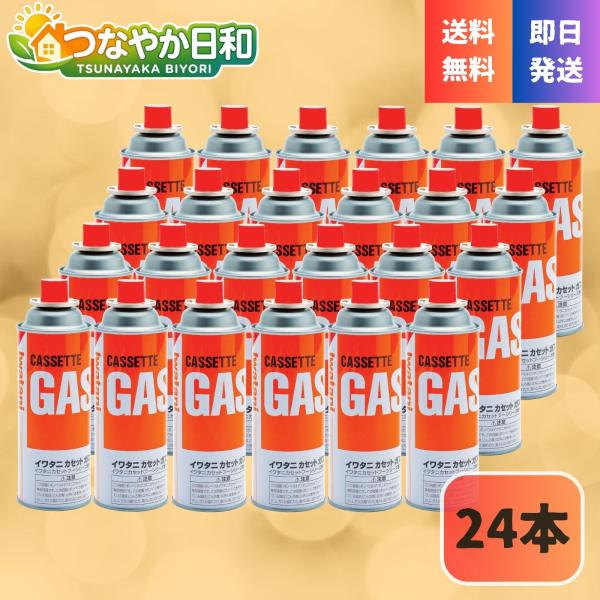 イワタニ カセットガス 24本セット CB-250-OR カセットボンベ 岩谷産業 24本組 セット まとめ買い 防災 備蓄 停電 台風 対策 キャンプ アウトドア 卓上コンロ