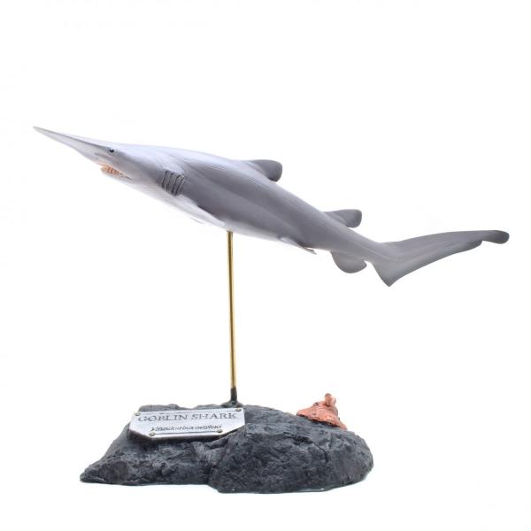 ~cNU@SuV[N@tBMA@Goblin sharkitBbVJ[rOjj󒍐Y6҂isj