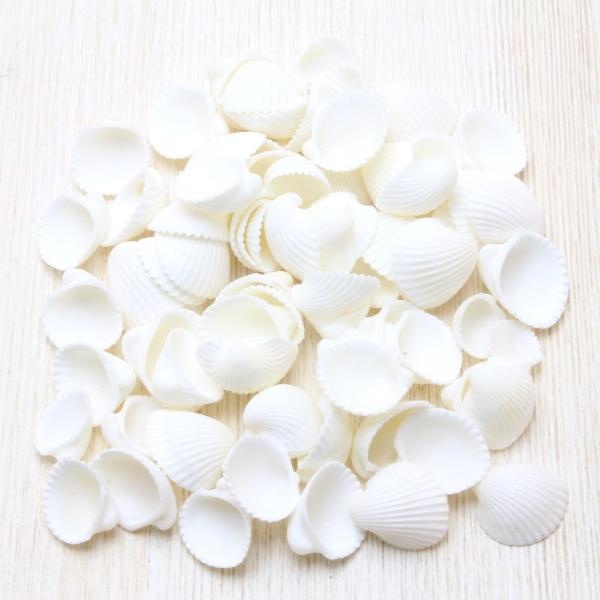 LkiN[YjuC_@EFJ{[h@tHgt[@p[c@50g