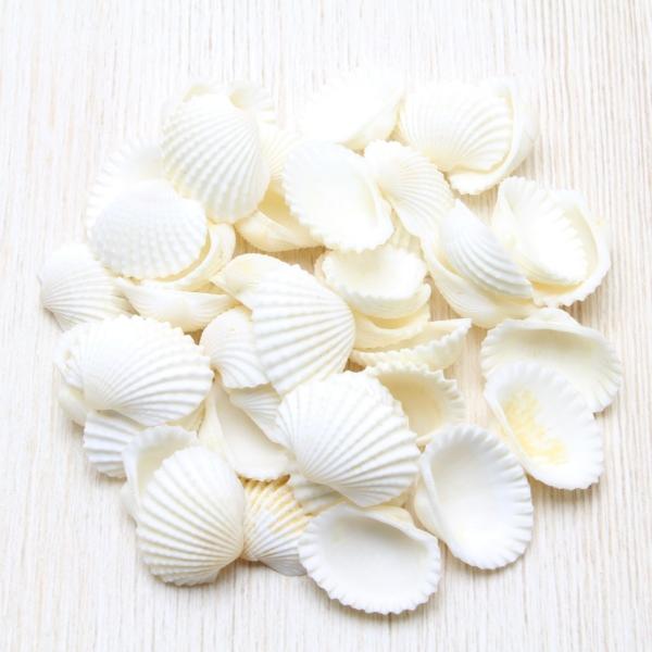 nCKC M Lk uC_ EFJ{[h tHgt[ p[c 50g