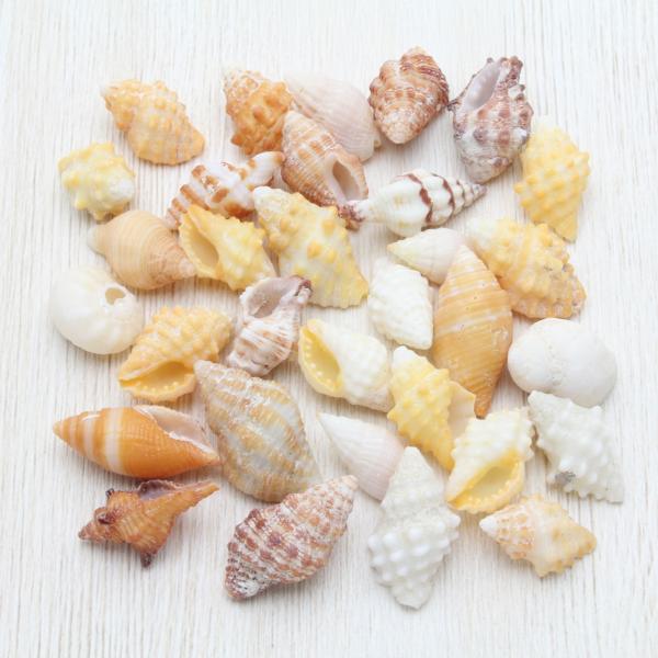 r[`VF Lk uC_@EFJ{[h@tHgt[@p[c@lߍ킹50g