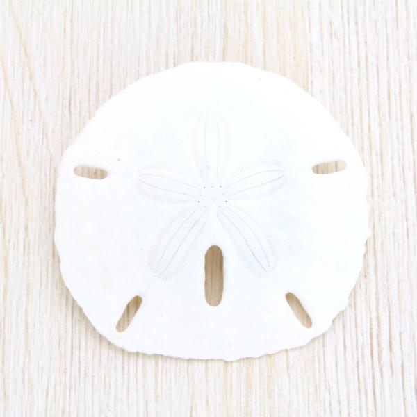 kaiyokobo_sh-0019