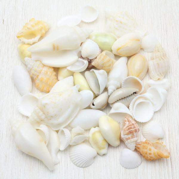 Lki~bNXVFjuC_@EFJ{[h@tHgt[@VFp[c@lߍ킹50g