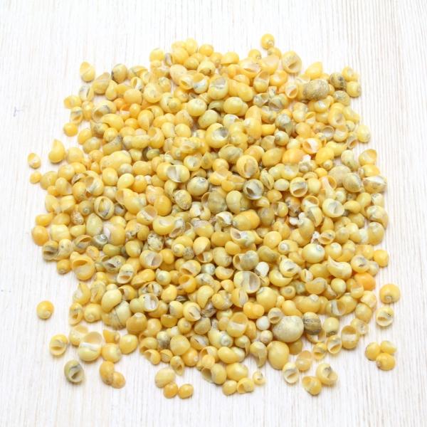 LkiSX@CG[juC_@EFJ{[h@tHgt[@p[c@50g