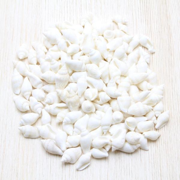 LkiiTVF@zCgjuC_@EFJ{[h@tHgt[@p[c@50g