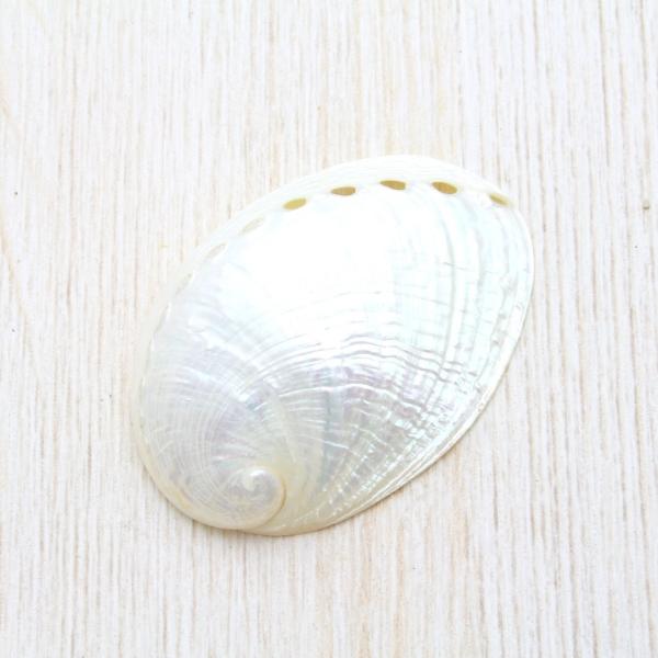 ~~KCȁijNo.1@Lk@uC_@EFJ{[h@tHgt[@p[c 4.5`6.0cm