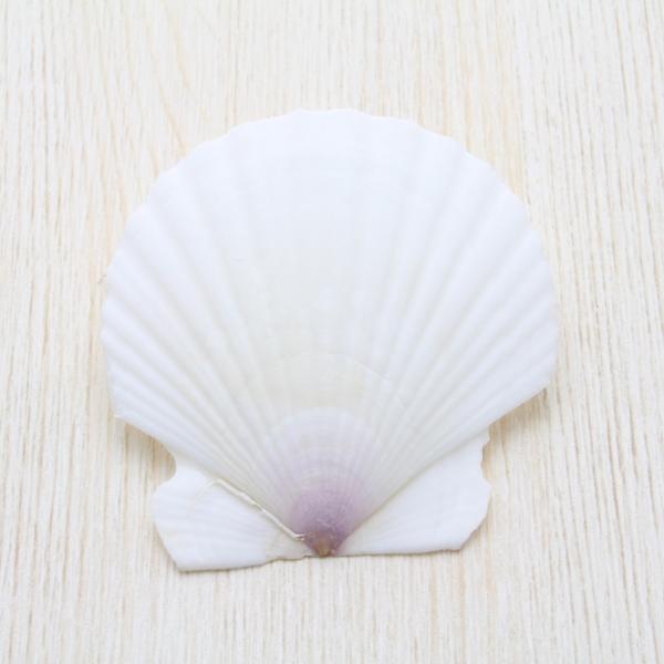 z^eKC@Lk@uC_@EFJ{[h@tHgt[@p[c 6`7cm