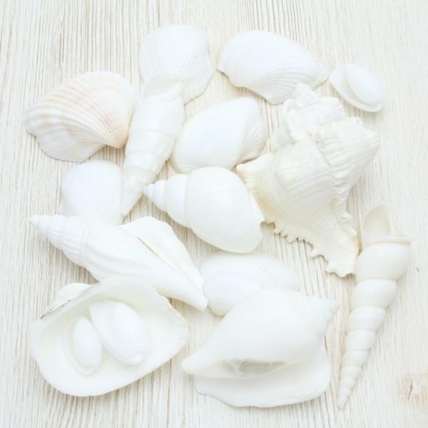 zCg~bNXVF@Lk@Zbg@uC_@EFJ{[h@tHgt[@VFp[c@lߍ킹100g