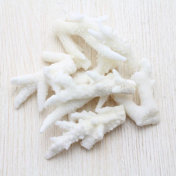 TŜS@uC_@EFJ{[h@tHgt[@VFp[c@Lk@30g