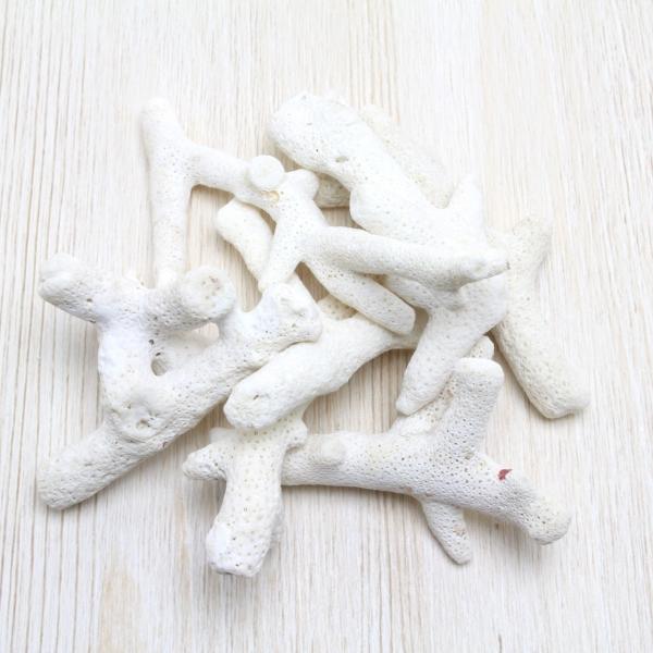 }TŜ@uC_@EFJ{[h@tHgt[@VFp[c@Lk@100g