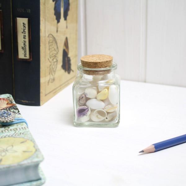 シェルボトル（角びん）貝殻 約155g(内貝殻50g) ディスプレイ パーツ