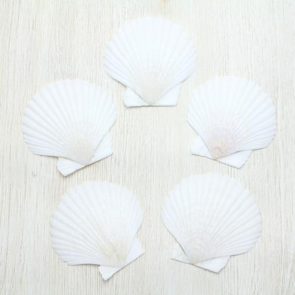 z^eKC 5Zbg@Lk@uC_@EFJ{[h@tHgt[@p[c 4`5cm