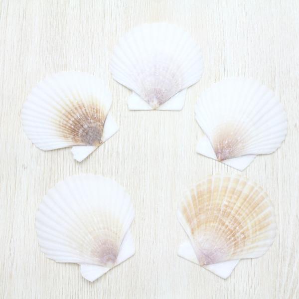 z^eKC 5ZbgiFtj@Lk@uC_@EFJ{[h@tHgt[@p[c 4`5cm