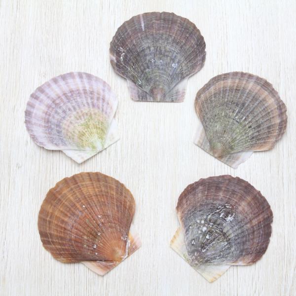 z^eKC 5ZbgiYj@Lk@uC_@EFJ{[h@tHgt[@p[c 4`5cm