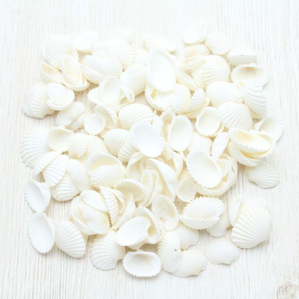 nCKC S Lk uC_ EFJ{[h tHgt[ p[c 50g