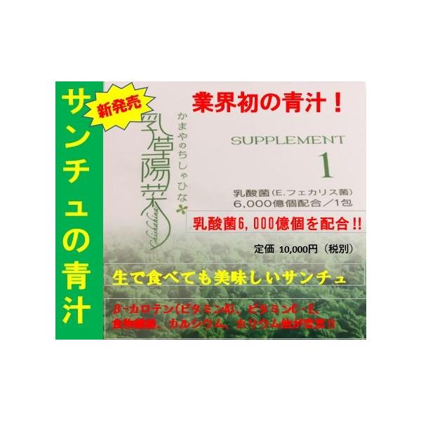 乳酸菌(E.フェカリス菌)6,000億個 + サンチュの青汁(乳草陽菜(ちしゃひな))30包