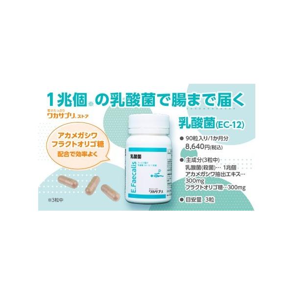 数で勝負、大事です！ 乳酸菌（フェカリス菌）（９０粒）3粒に約1兆個の乳酸菌を配合