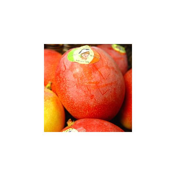 メキシコ産アップルマンゴー　２個入り　　高級品アップルマンゴー　父の日 ギフト　お中元