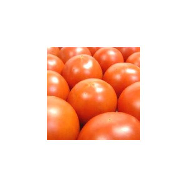 果実庵 徳谷トマト