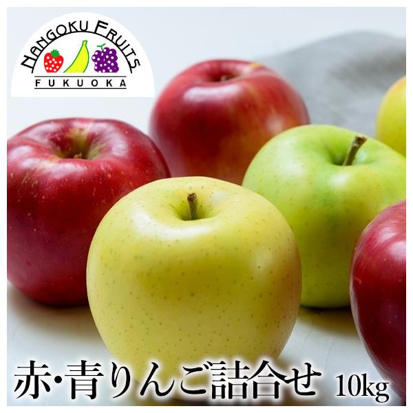 ԁE񂲂̋l 10kg 32`40 Mtg Ε j  ь S 