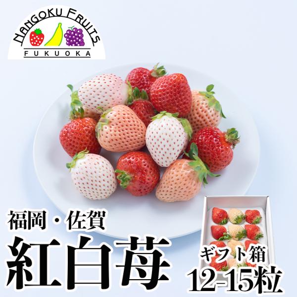 見た目にもおめでたい、大人気の『紅白苺』希少な白いちごと、あまおう苺のセットです。商品名…福岡・佐賀産紅白いちごギフト箱（12-15粒）内容量 … あまおう　8-10粒　　　　 淡雪/パールホワイト/天使のいちご/雪うさぎ　4-5粒　産  ...