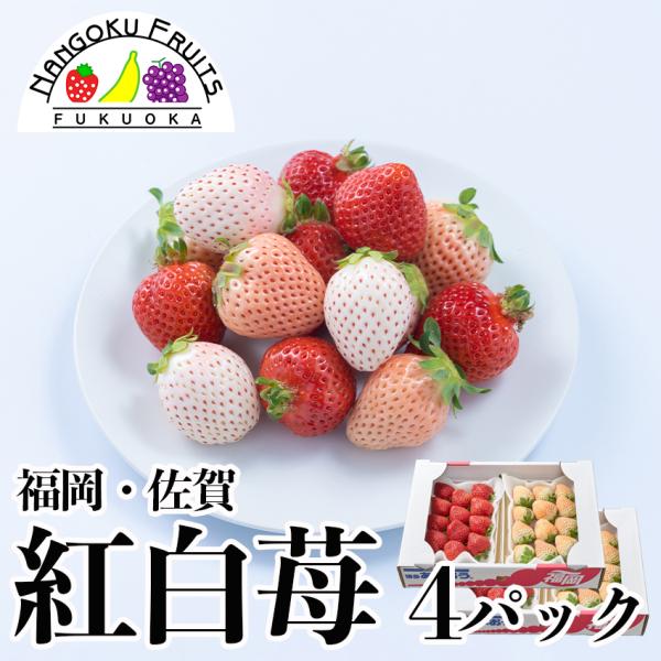 福岡・佐賀産 紅白いちご （あまおう＆白いちご）4パック