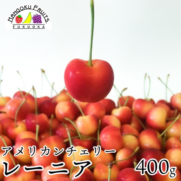 レーニア（アメリカンチェリー） 約400ｇ 贈り物 ギフト さくらんぼ 御中元 御祝い 御礼