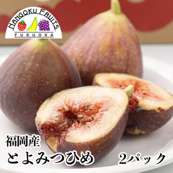 いちじく とよみつひめ 2パック 福岡限定生産 無花果 イチジク