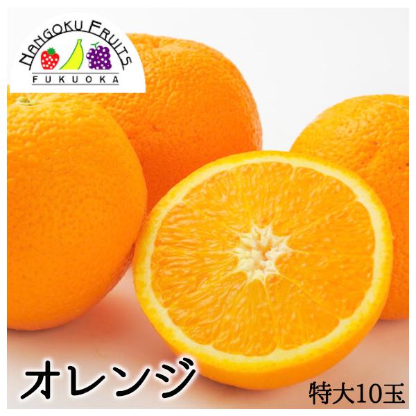 AJ^I[XgAYIW@10(1250g) Mtg   Ε j  v[g IW